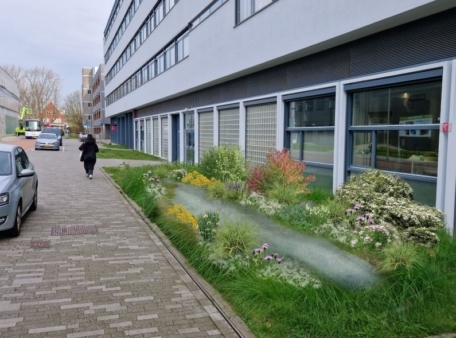 groene planten strook bij leeghwaterstraat