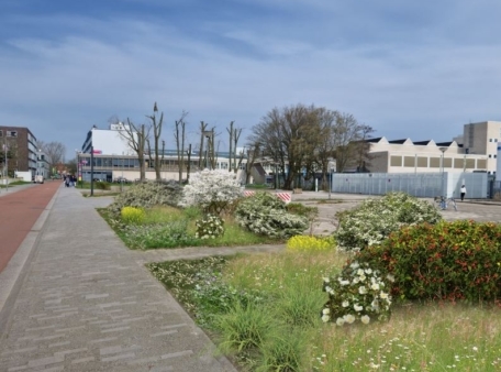 vergroening leeghwaterstraat zuid