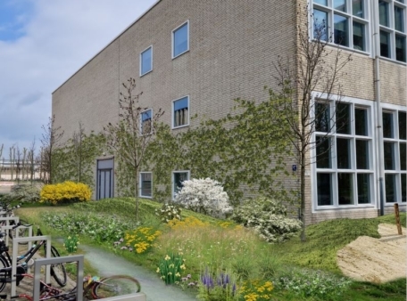 vergroening leeghwaterstraat zuid