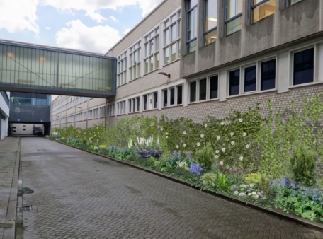 bleoemen en planten tegen gebouw