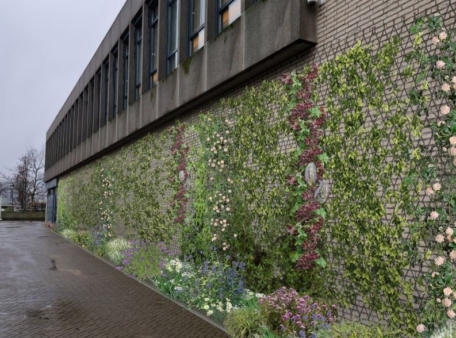 begroeiing tegen gebouw
