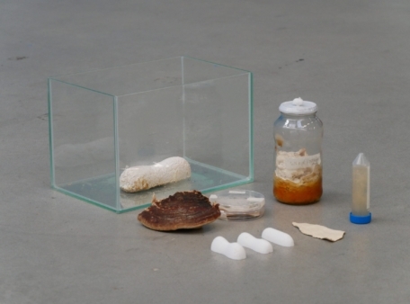 glazen doos met objecten ervoor