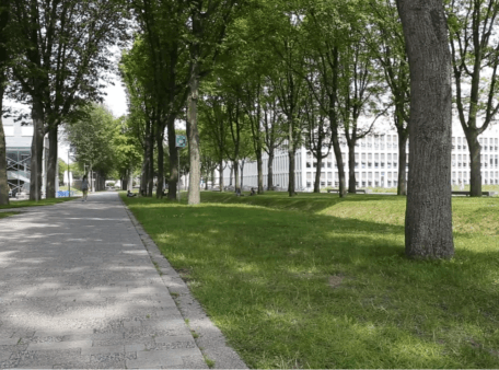 Fellowship en nano-biologie