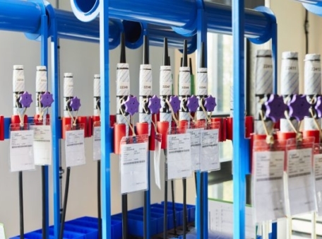 knoppen met kaartjes