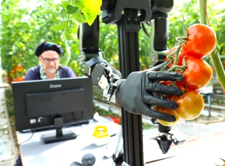 Delft and Westland once again the strongest ecosystem for entrepreneurship